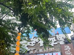 -吉丁鸟咖·异宠·寄养