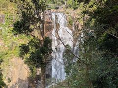 -海南热带雨林国家公园吊罗山景区
