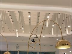 -Deer Park鹿园西餐(仁恒置地广场店)