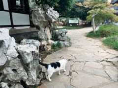-常熟方塔园
