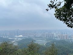 -岳麓山风景名胜区