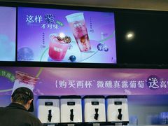 -TD66高山铁皮石斛养生茶饮