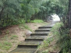 -宋井风景区