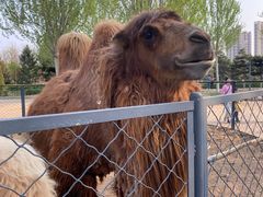 -长白岛森林公园