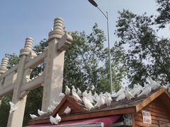 -天津妈祖文化园