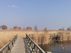 -野鸭湖国家湿地公园