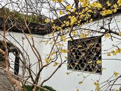 -上海醉白池公园
