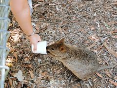-费瑟代尔野生动物园