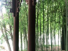 -秋霞圃