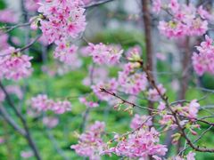 -乌山风景区
