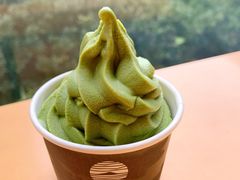 -雪绿茶博物馆