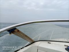 -黄金海岸