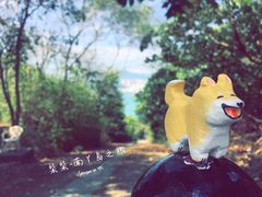 -南丫岛