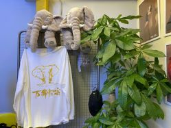 -YASAKI国际舞蹈中心