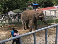 -西安秦岭野生动物园