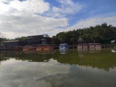 -大湾区中央湿地公园