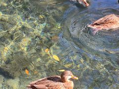 -水磨沟公园