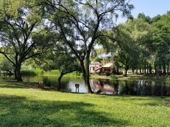 -上海共青森林公园