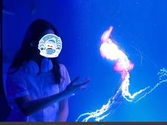 -海合安成都极地海洋公园