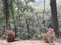 -黔灵山公园-南门售票处