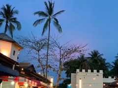 -Coco Tam’s