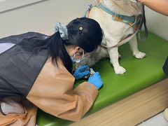 -达爱动物医院·犬猫分区·CT·复杂眼科(远洋山水分院)