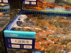 -东海怡品海鲜豆捞(舟宿夜江店)