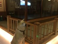 -大江户·温泉洗浴(浑南店)