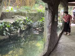 -青青世界
