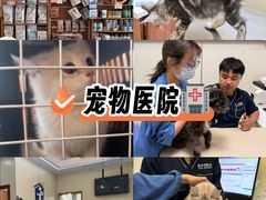 -泰洋动物医院·神经专科·磁共振·CT(天河公园总院)