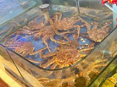 -山东八大碗山东老字号