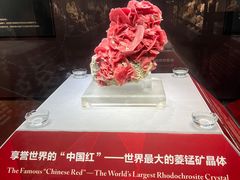 -湖南省地质博物馆