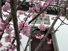 -雨花胜境