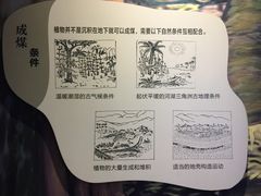 -陕西自然博物馆