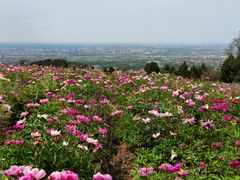 -金堂县云顶石城风景区