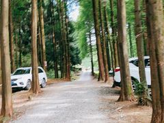 -山王坪喀斯特国家生态公园