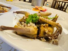 -百利鸽王(紫薇路店)