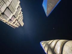 -陆家嘴中心绿地