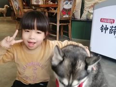 -more than meow吴止猫主题餐厅(承德 中船汇店)