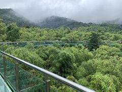 -陶祖圣境风景区