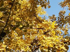 -苏州河梦清园环保主题公园