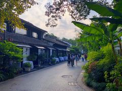 -西溪国家湿地公园