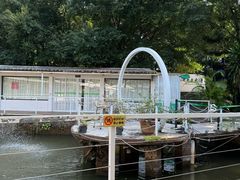 -芭厘农庄老字号·清远鸡