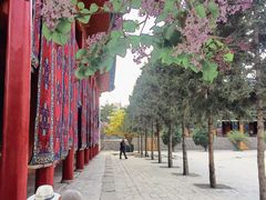-西宁市东关清真大寺