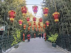 -红螺寺