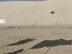 -库伦旗银沙湾旅游景区