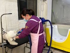 -暖阳宠物医院·犬猫康复中心·骨科