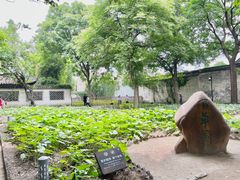 -绍兴鲁迅故里·沈园景区