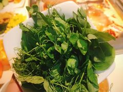 -海底捞火锅(银泰中心店)