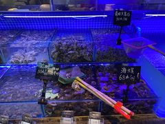 -渔民船说·北塘海鲜·天津菜·海肠捞饭(北塘古镇店)